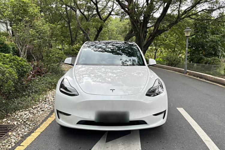特斯拉 Model Y 2021款 长续航全轮驱动版 3D7车身外观6001