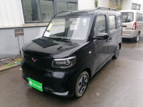 五菱汽车 五菱之光新能源 2025款 305km 进取型