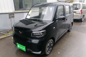 五菱汽车 五菱之光新能源 2025款 305km 进取型