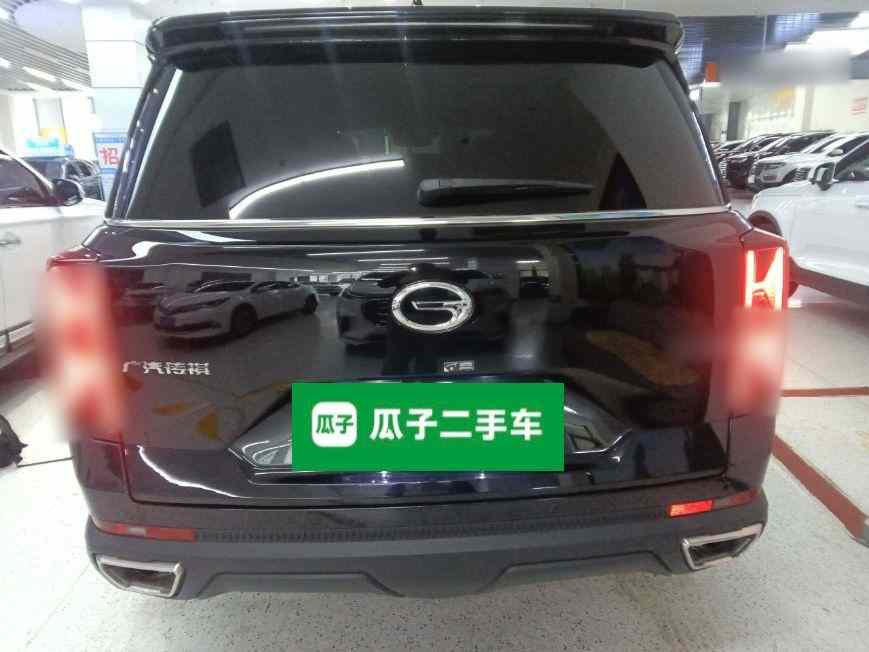 广汽传祺 传祺GS8 2022款 领航系列 2.0TGDI 两驱豪华智联版（七座）(4)