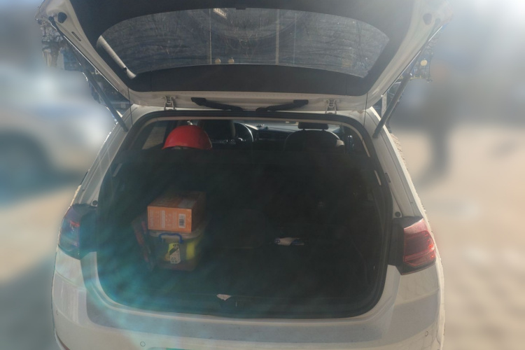 大众 高尔夫 2019款 280TSI DSG豪华型 国VI中控内饰23