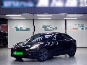 特斯拉 Model 3 2022款 后轮驱动版