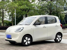 五菱汽车 宏光MINIEV 2025款 四门版 进阶款