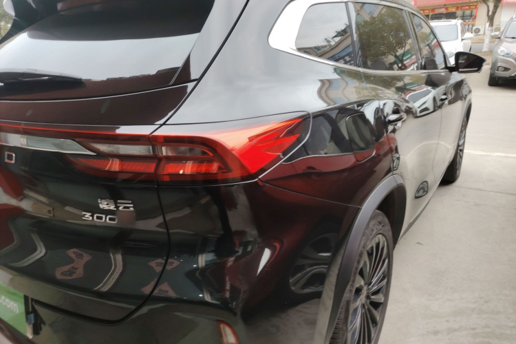 星途凌云 2023款 300T 两驱星耀版车身外观9