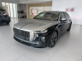 红旗H9 2024款 2.0T 旗畅 私享风尚版