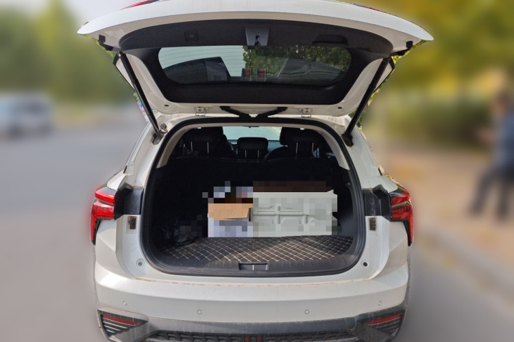 哈弗枭龙 2023款 1.5L 110KM领航版中控内饰23