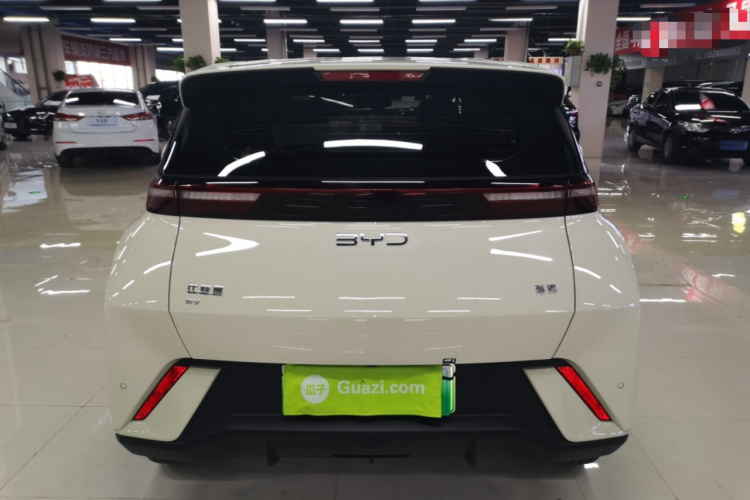 比亚迪 海鸥 2024款 荣耀版 305km 活力版车身外观6