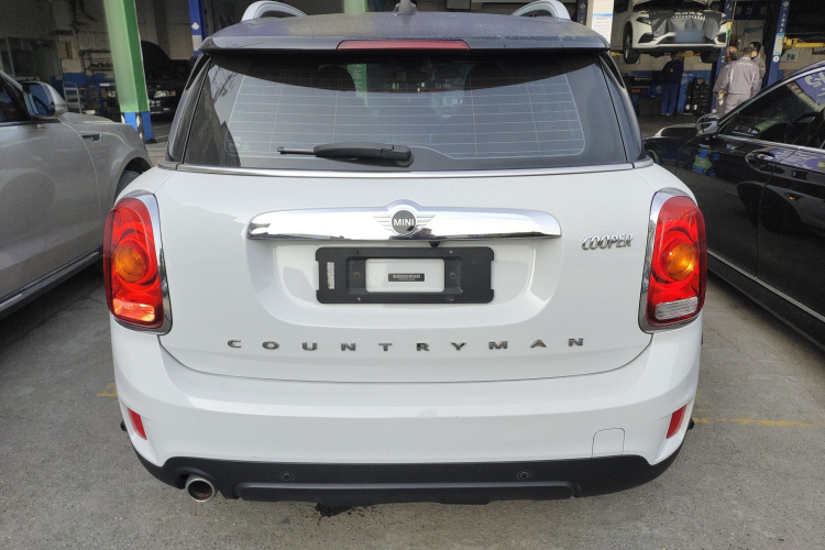 MINI Countryman 2019款 1.5T COOPER ALL4 艺术家周末旅行版车身外观6004