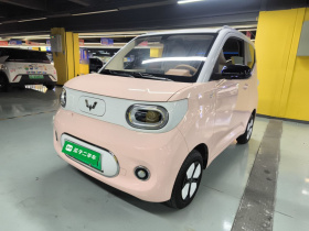 五菱汽车 宏光MINIEV 2024款 第三代 215km 进阶版