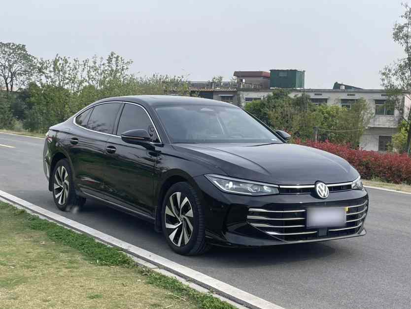 大众 帕萨特 2025款 Pro 380TSI 龙运版(4)