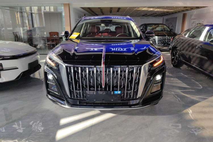 红旗HS3 PHEV 2025款 PHEV 117km 劲为PLUS版车身外观2