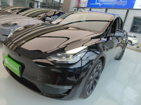 特斯拉 Model Y 2021款 标准续航后驱版