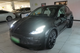 特斯拉 Model Y 2022款 Performance高性能全轮驱动版