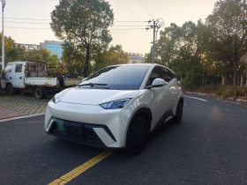 比亚迪 海鸥 2024款 荣耀版 305km 活力版