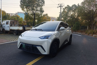 比亚迪 海鸥 2024款 荣耀版 305km 活力版