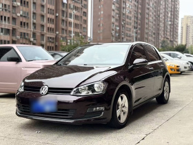 大众 高尔夫 2016款 230TSI 自动舒适型