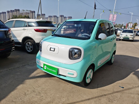 奔腾小马 2024款 170km 元气马