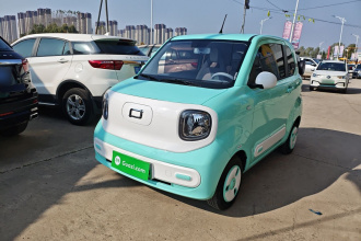 奔腾小马 2024款 170km 元气马