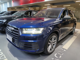 奥迪Q7 2018款 45 TFSI 技术型