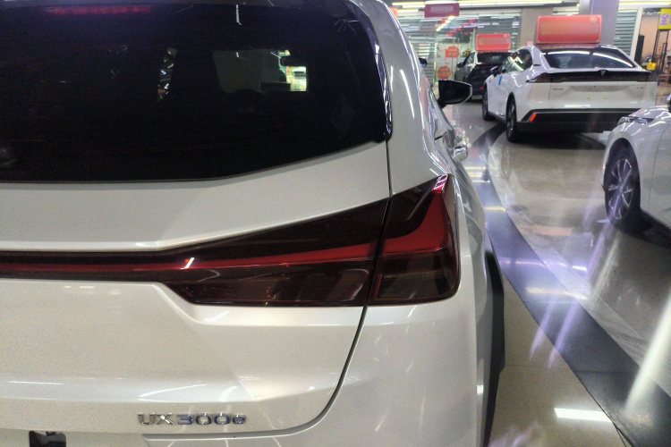 雷克萨斯UX新能源 2020款 300e 纯·悦版车身外观9