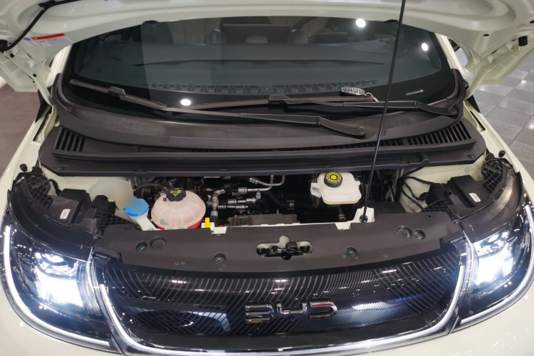 比亚迪 海豚 2024款 荣耀版 420km 时尚版机舱底盘24