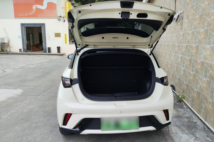 比亚迪 海豚 2021款 405km 自由版局部细节23