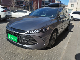 比亚迪 秦PLUS 2025款 DM-i 智驾版 55KM领先型