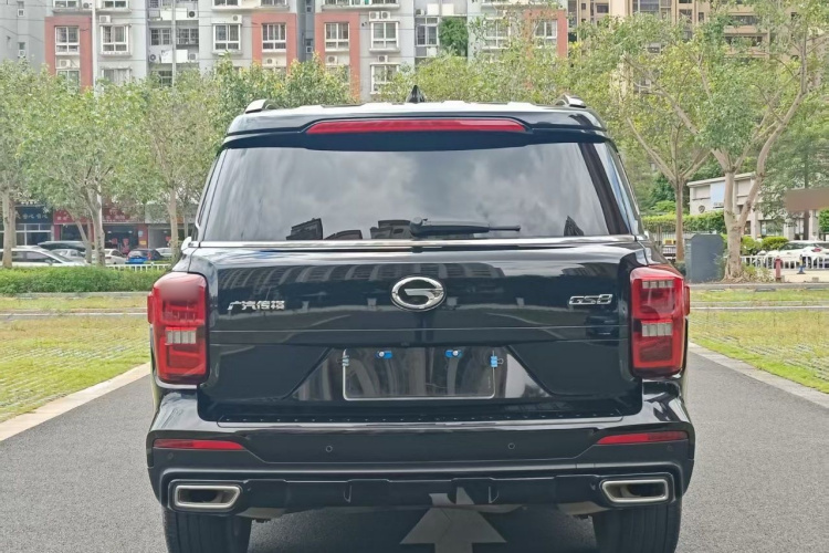 广汽传祺 传祺GS8 2021款 390T 两驱暗夜骑士版车身外观6002