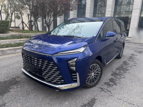 别克GL8新能源 2024款 陆尊 奢享版 6座