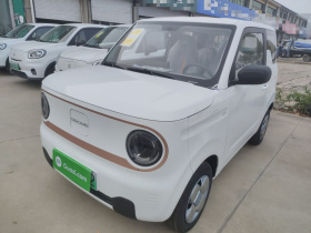 吉利银河 2024款 熊猫mini 200km 耐力熊