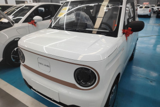 吉利银河 2024款 熊猫mini 200km 耐力熊
