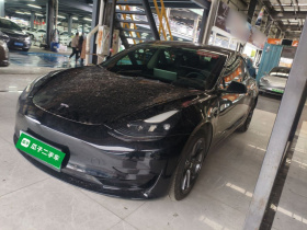 特斯拉 Model 3 2021款 标准续航后驱升级版 3D6