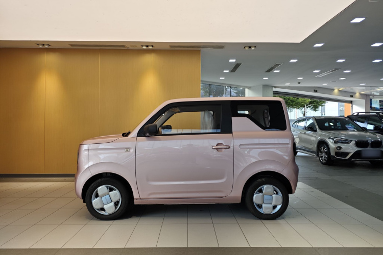 吉利银河 2024款 熊猫mini 200km 耐力熊车身外观6008