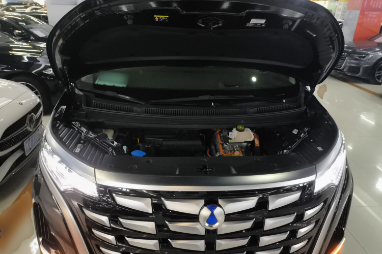 腾势D9 2022款 DM-i 970 四驱尊荣型局部细节24