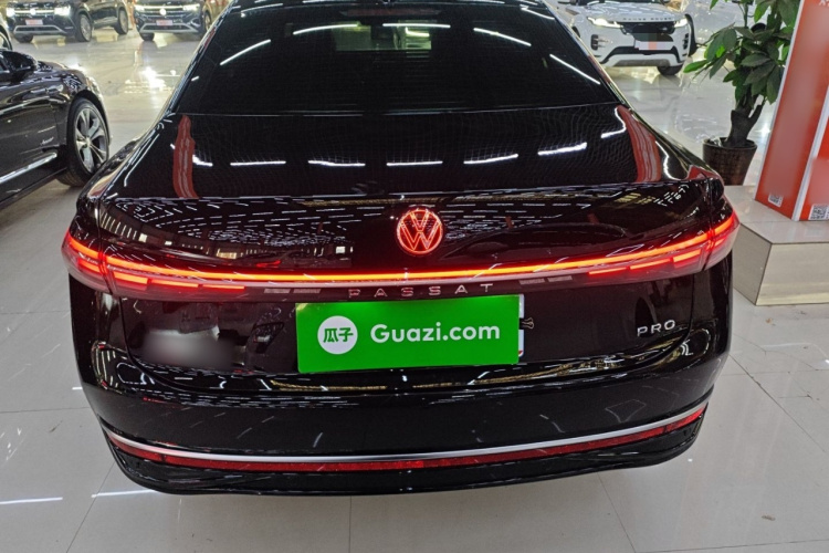 大众 帕萨特 2025款 Pro 380TSI 龙耀版车身外观6004