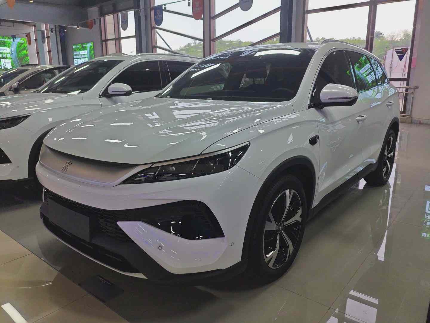 比亚迪 宋Pro新能源 2025款 第二代 智驾版 DM-i 115KM卓越型(2)