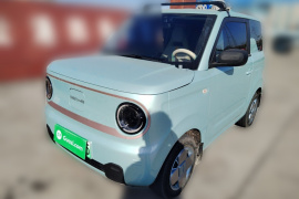 吉利银河 2024款 熊猫mini 200km 耐力熊