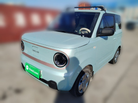 吉利银河 2024款 熊猫mini 200km 耐力熊