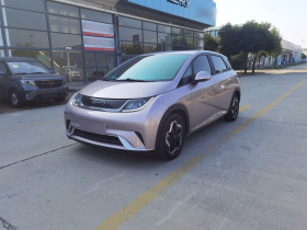 比亚迪 海豚 2021款 405km 自由版