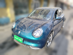 欧拉好猫 2021款 400km标准续航 维纳斯版 三元锂