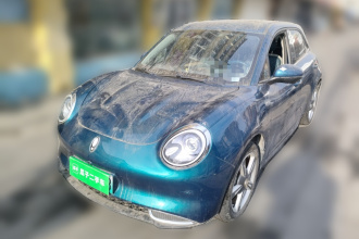 欧拉好猫 2021款 400km标准续航 维纳斯版 三元锂