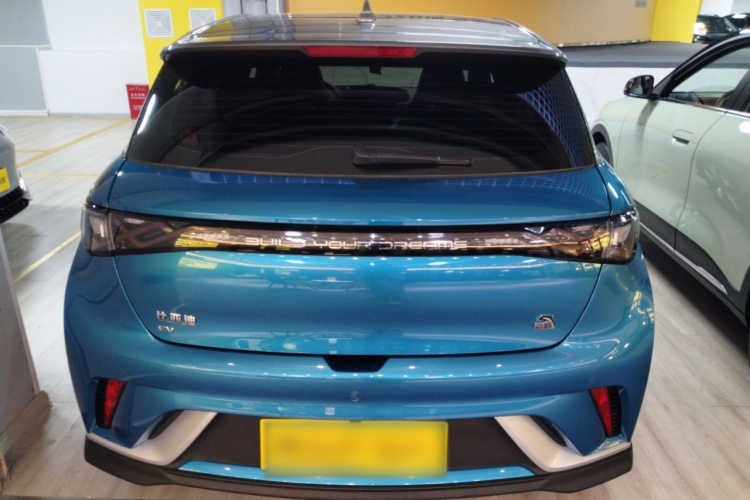 比亚迪 海豚 2023款 401km 骑士版车身外观6004