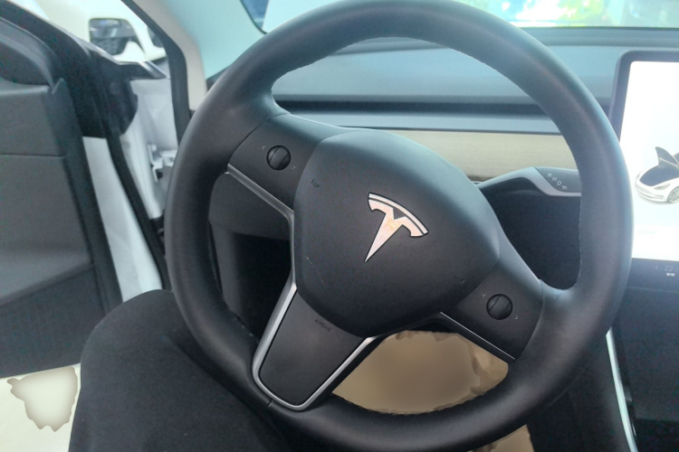 特斯拉 Model 3 2020款 改款 标准续航后驱升级版中控内饰13