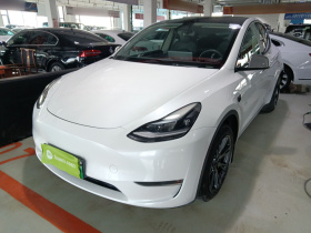 特斯拉 Model Y 2021款 标准续航后驱版