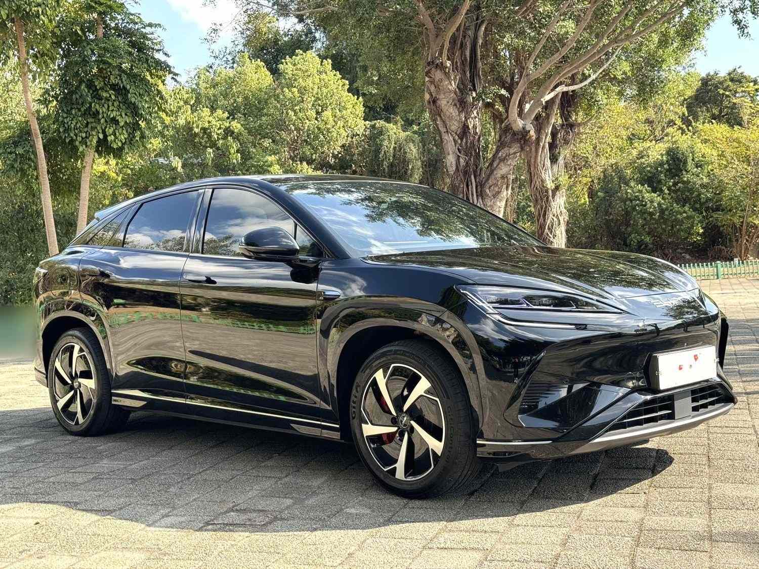 比亚迪 海狮07 EV 2024款 610智航版(3)
