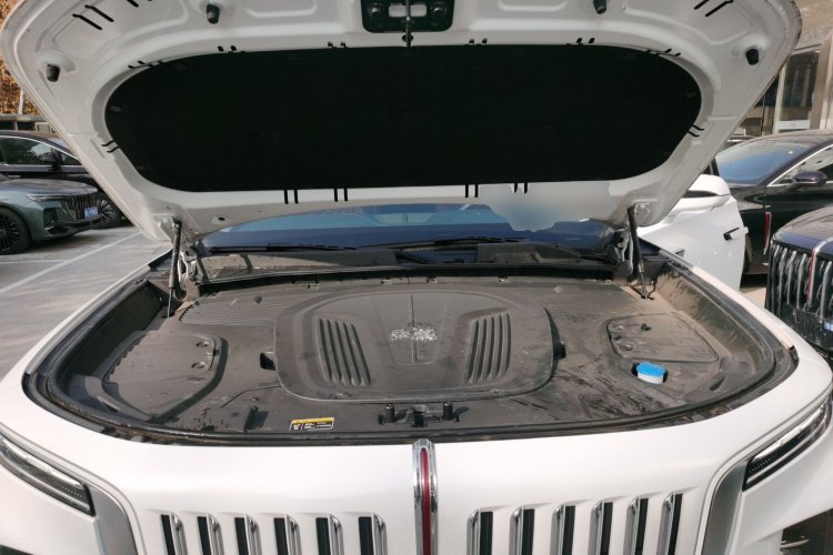 红旗E-HS9 2022款 660km 旗畅版 六座局部细节24