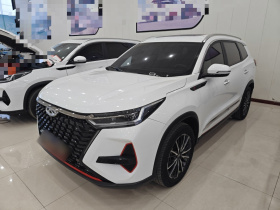 奇瑞 瑞虎8 PRO 2022款 290T 两驱天穹版 5座