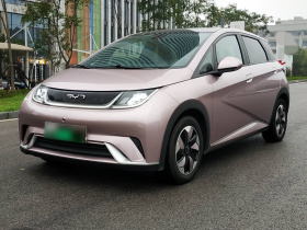 比亚迪 海豚 2024款 荣耀版 420km 时尚版