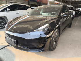 特斯拉 Model 3 2021款 标准续航后驱升级版 3D6