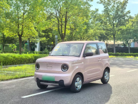 吉利银河 2024款 熊猫mini 200km 耐力熊